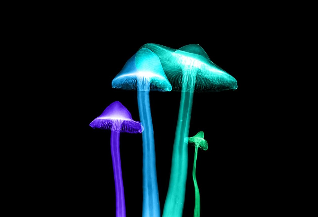 Curso Marketing Digital